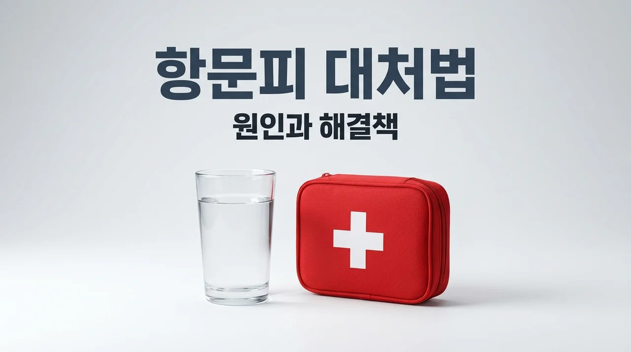 항문피 원인과 증상 완화법 5가지 | 선홍색 피 치질일까?