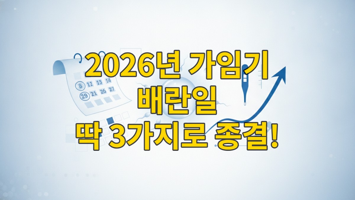 달력, 배란 테스트기, 체온계 아이콘이 함께 있는 차분한 파란색 톤의 이미지로, 가임기와 배란일 계산의 정확성을 상징합니다.